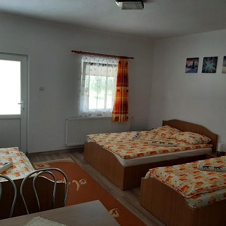 Kacso Apartma Ocna de Sus Exterior foto