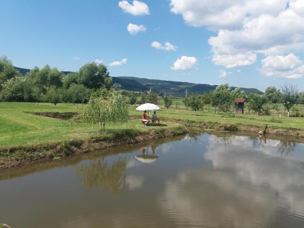 Kacso Apartma Ocna de Sus Exterior foto