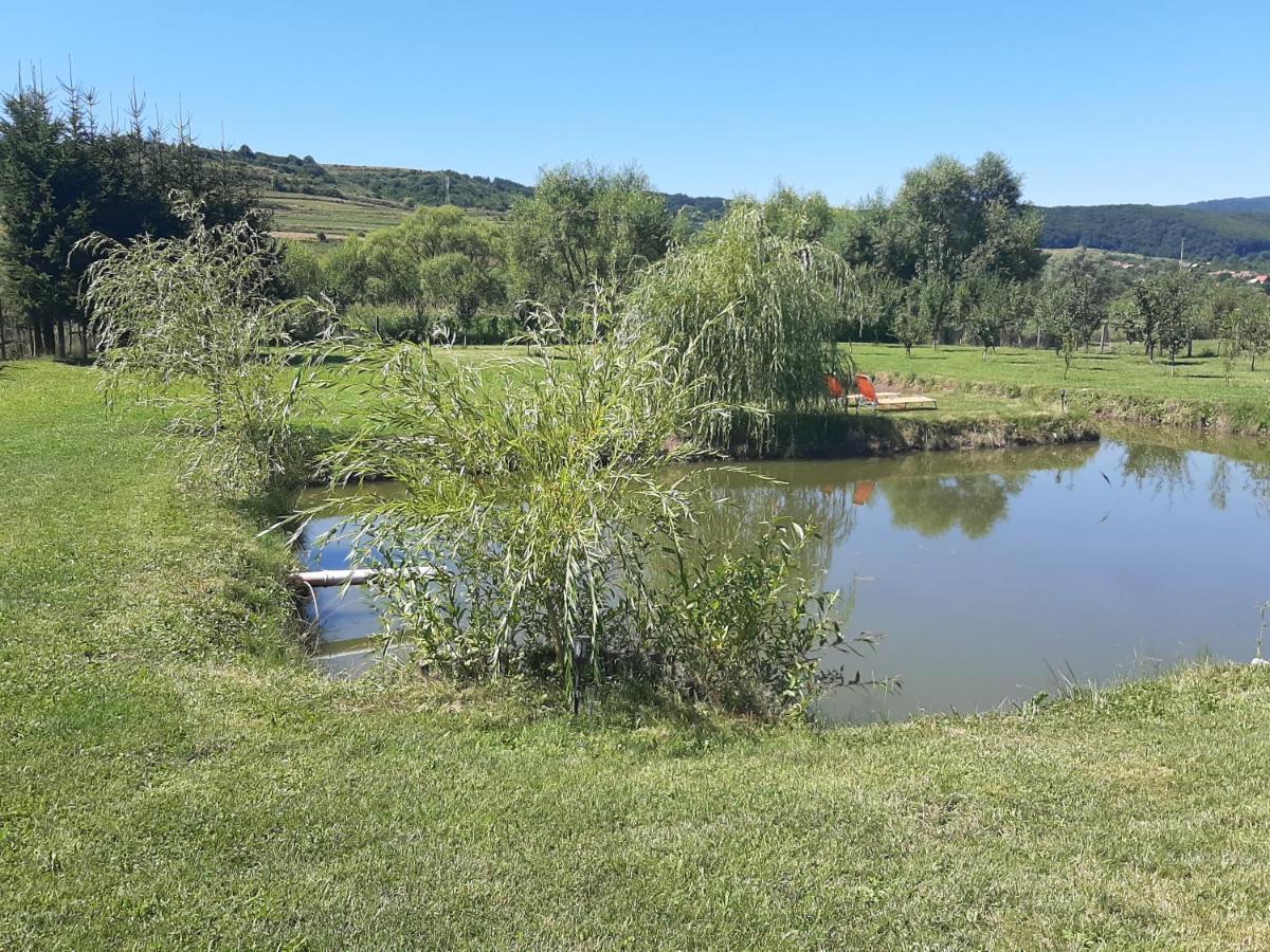 Kacso Apartma Ocna de Sus Exterior foto
